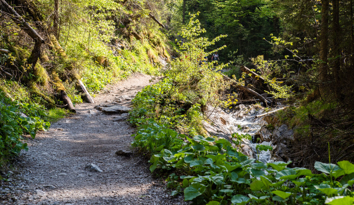 Dolina Białego – kameralna perełka Tatr tuż obok centrum Zakopanego