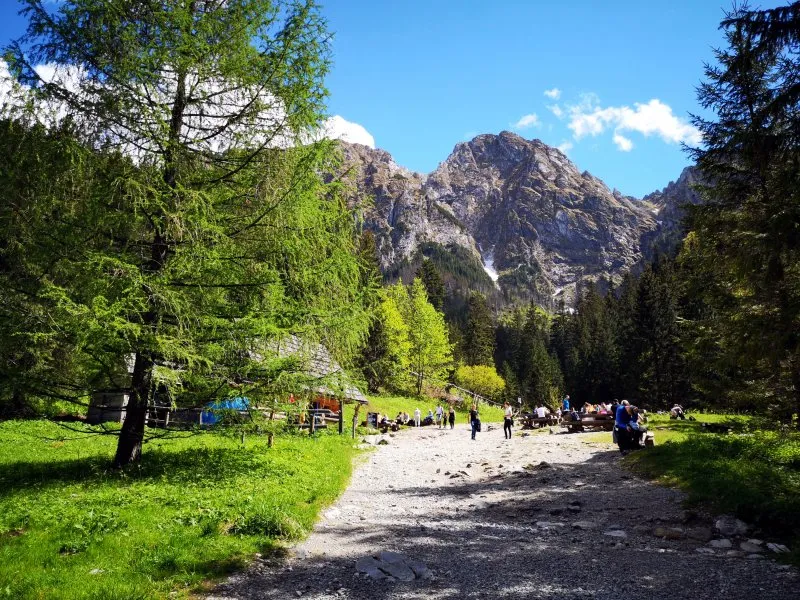 Dolina Strążyska – widok na Giewont z pierwszego rzędu
